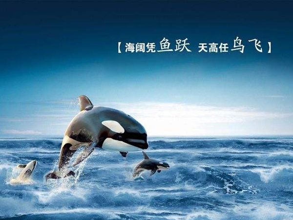 企業(yè)簡(jiǎn)介